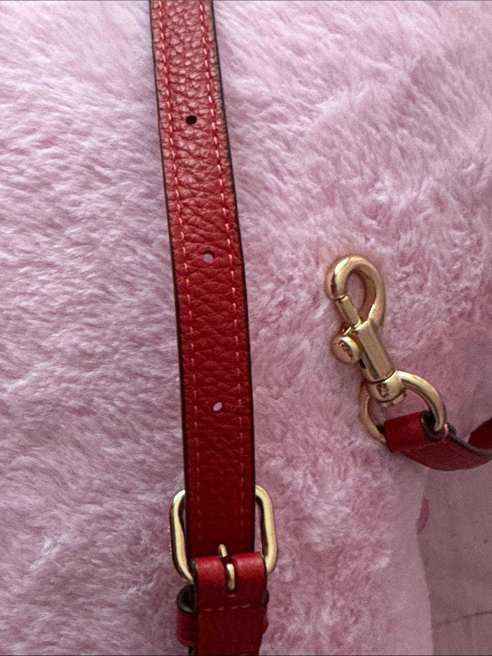 Coach Red Leather Adjustable Crossbody Strap with Gold Hardware - Picture 6 of 11